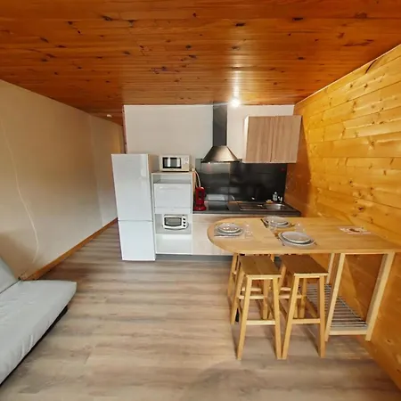 Le 215, Le Chitelet Vue Pistes *